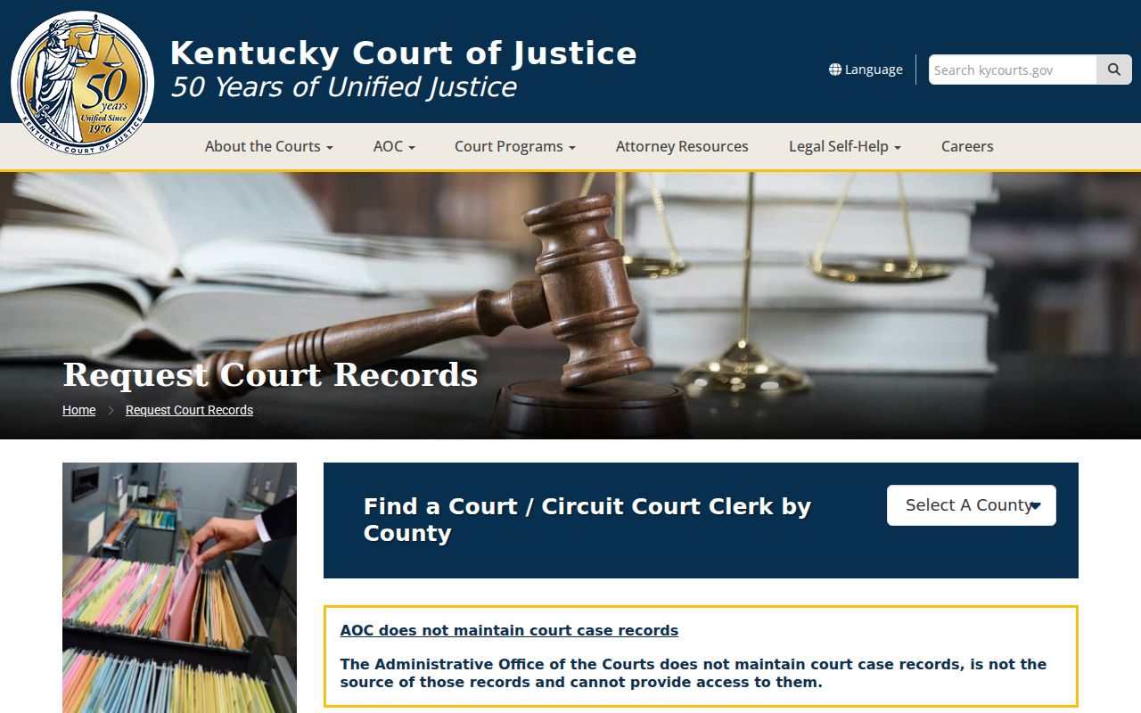 Johnson County criminal court cases official records request instructions